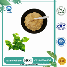Natural 98% Tee Polyphenol Grüner Teeextrakt Pulver